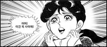 확증편향의 오류 썸네일 이미지