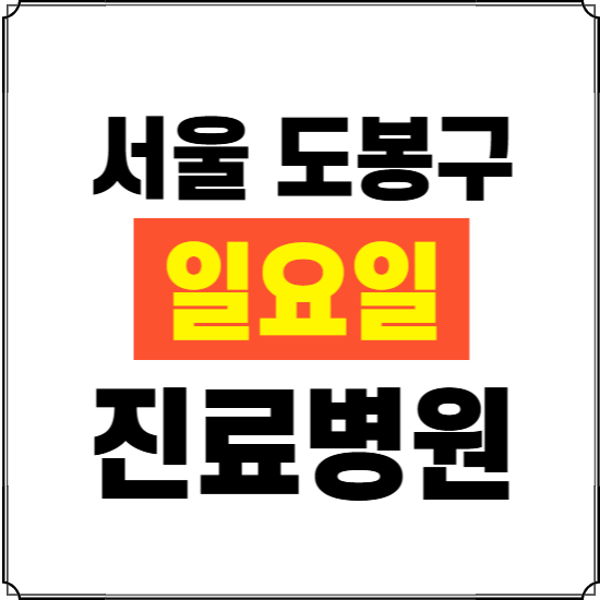 서울 도봉구 일요일 진료병원 찾기 ❘ 24시 휴일 주말 응급 야간 심야 문여는 병원