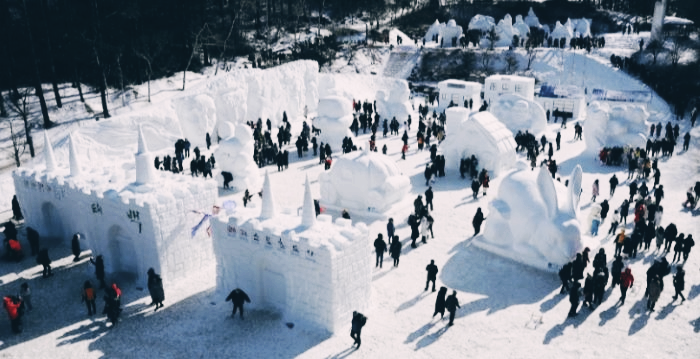 태백산 눈축제 전경