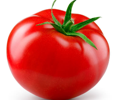 토마토