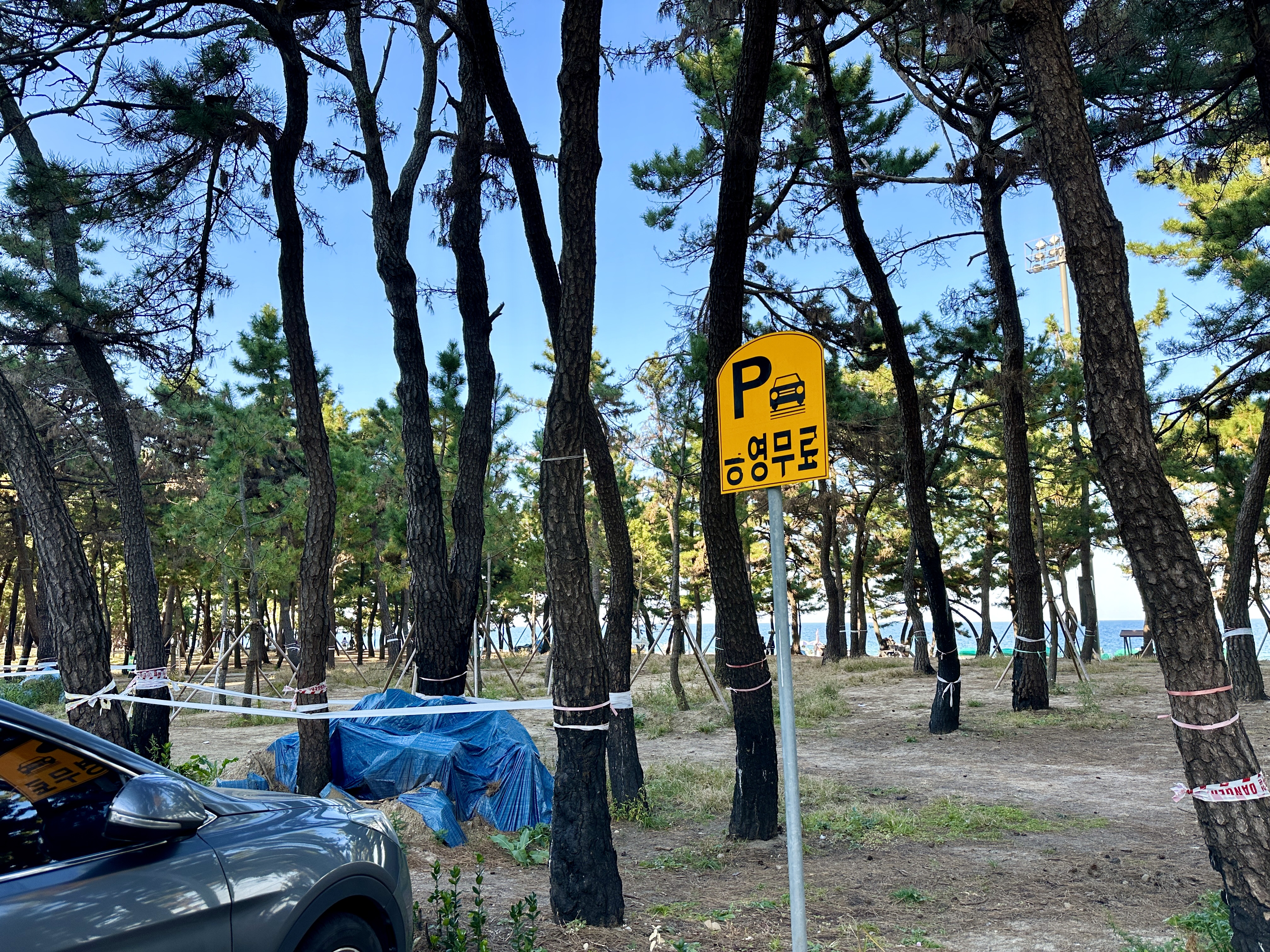 공영 무료주차장