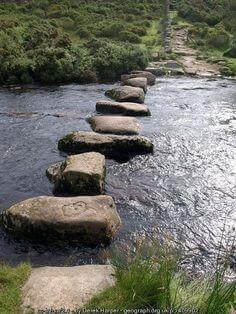 중간-정도의-하천에-크기가-불규칙한-징검다리가-가로-세로로-놓여져있는-모습