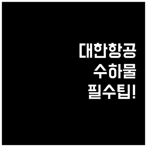 대한항공 위탁수하물 규정 총정리..