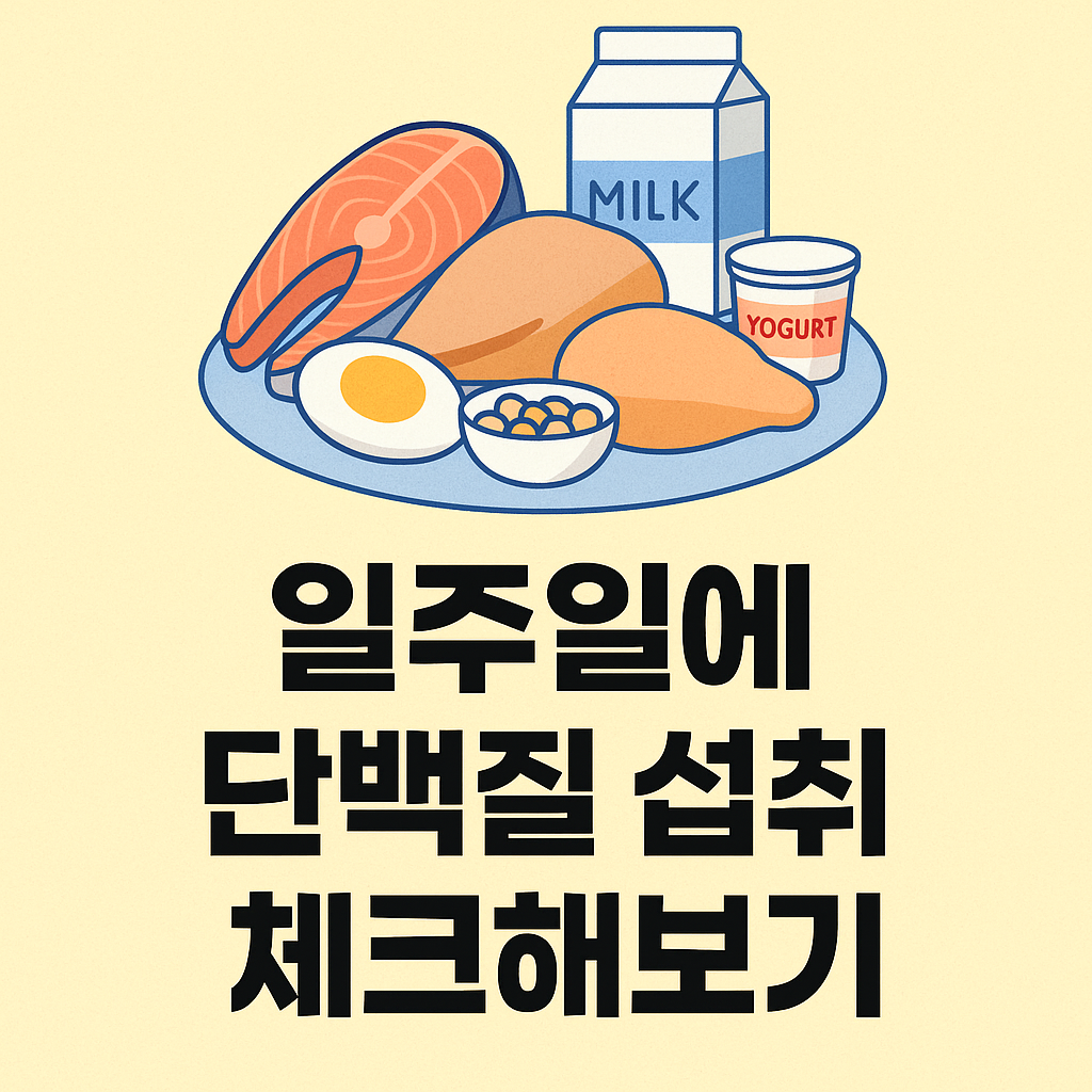 일주일에 단백질 섭취 체크해보기