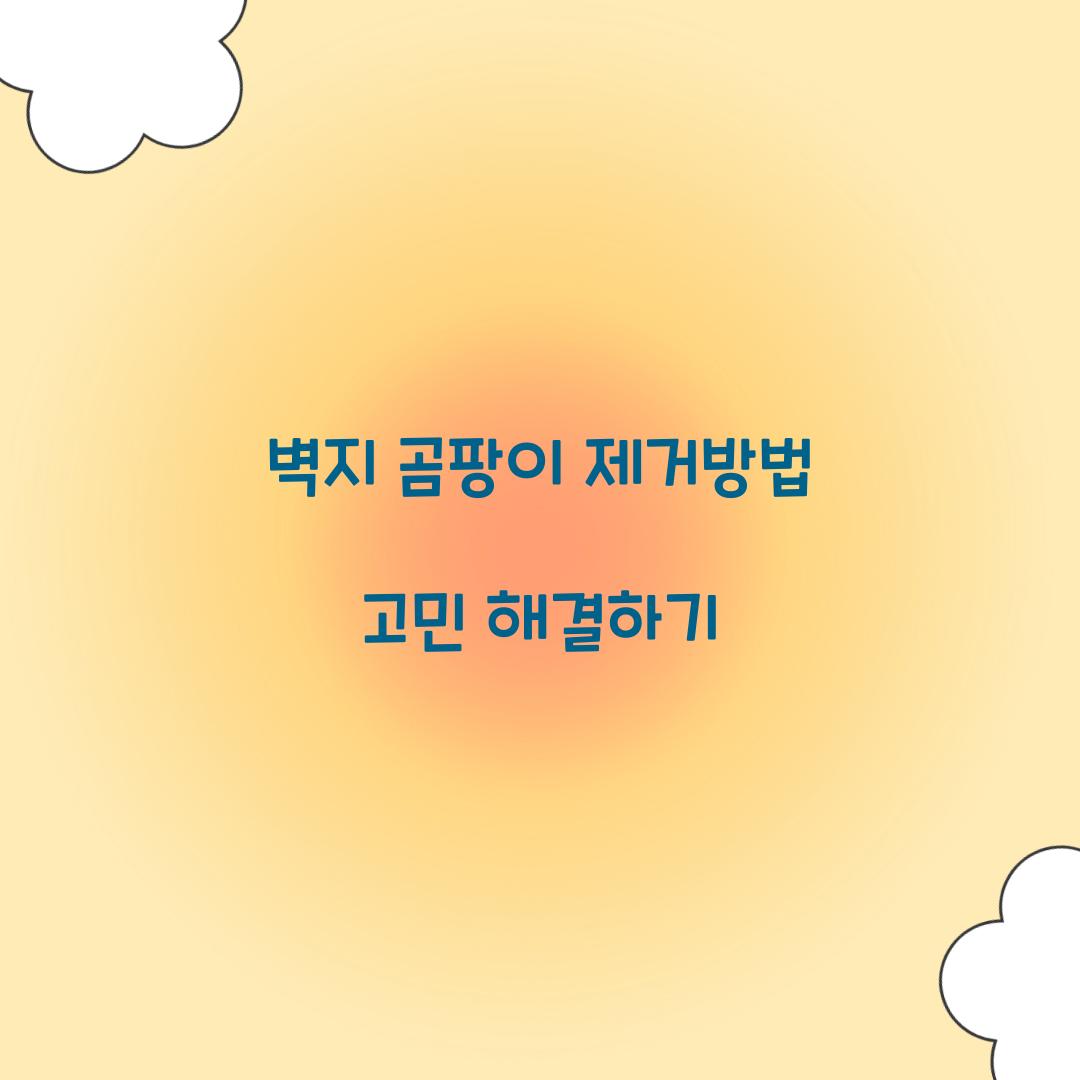 벽지 곰팡이 제거방법