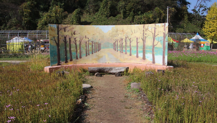 괴산 문광저수지 은행나무길