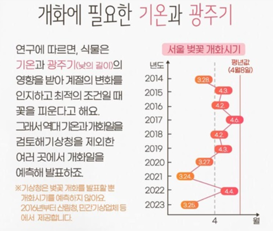 봄꽃 개화시기 