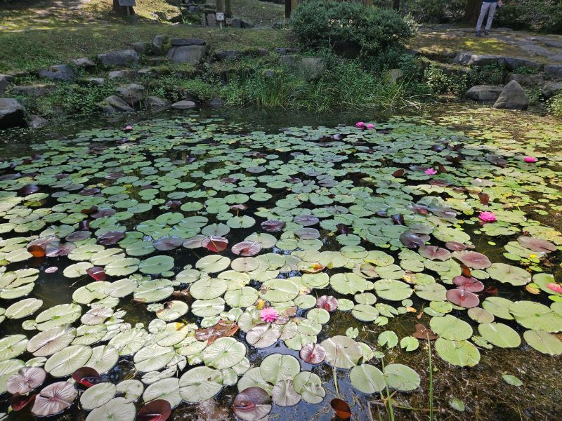 금강수목원