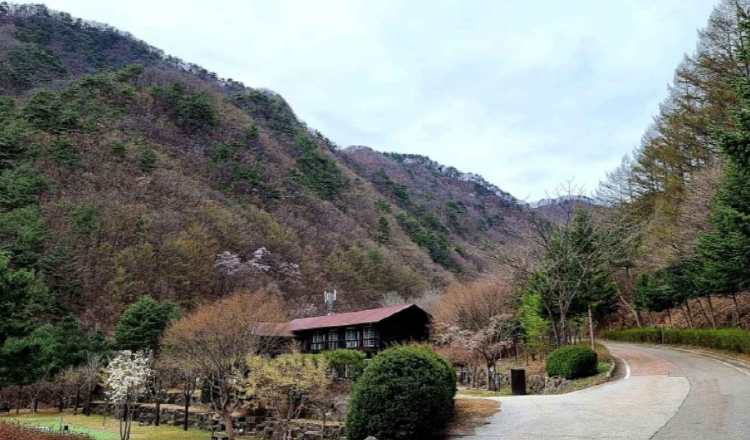 광치자연휴양림