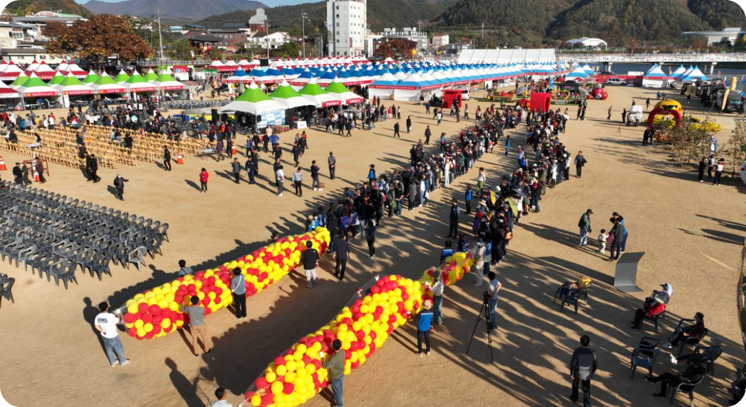 청송 사과축제 날짜 위치 프로그램 입장료 총정리 - 무료입장 꿀팁! 🍎