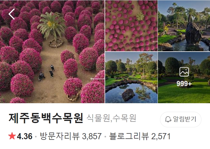 제주-동백수목원-썸네일