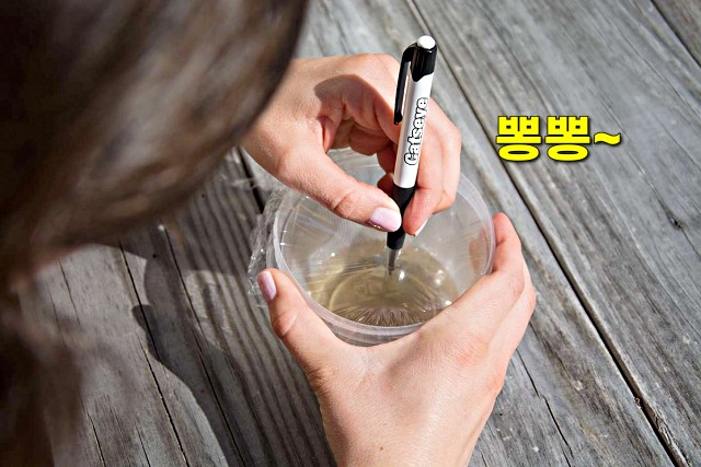 초파리 없애는 방법, 날파리 퇴치법, 초파리 트랩 만들기, 팁줌