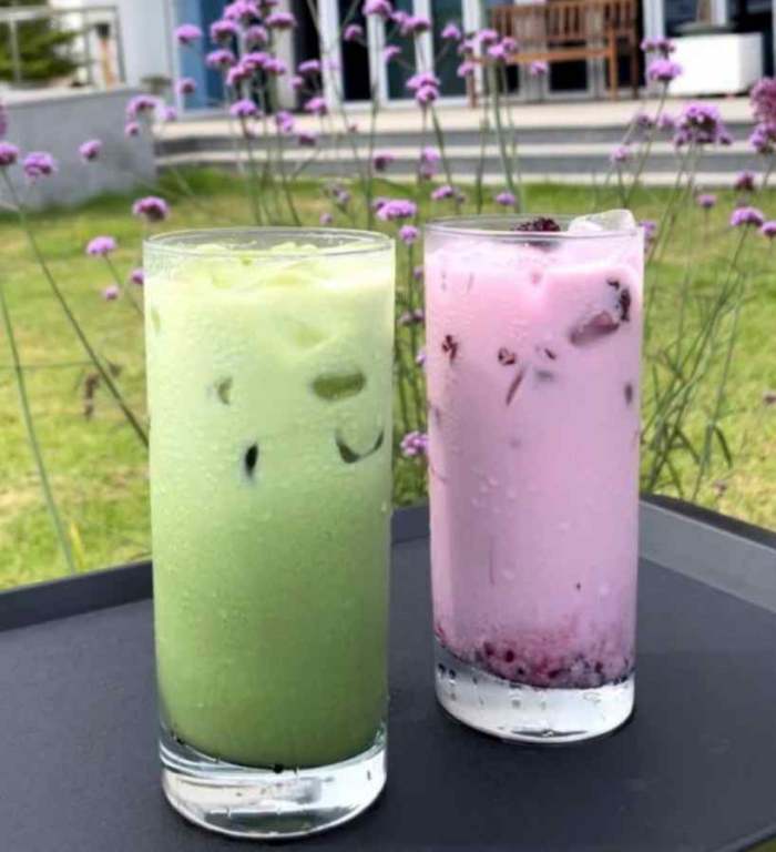 고창청보리밭축제