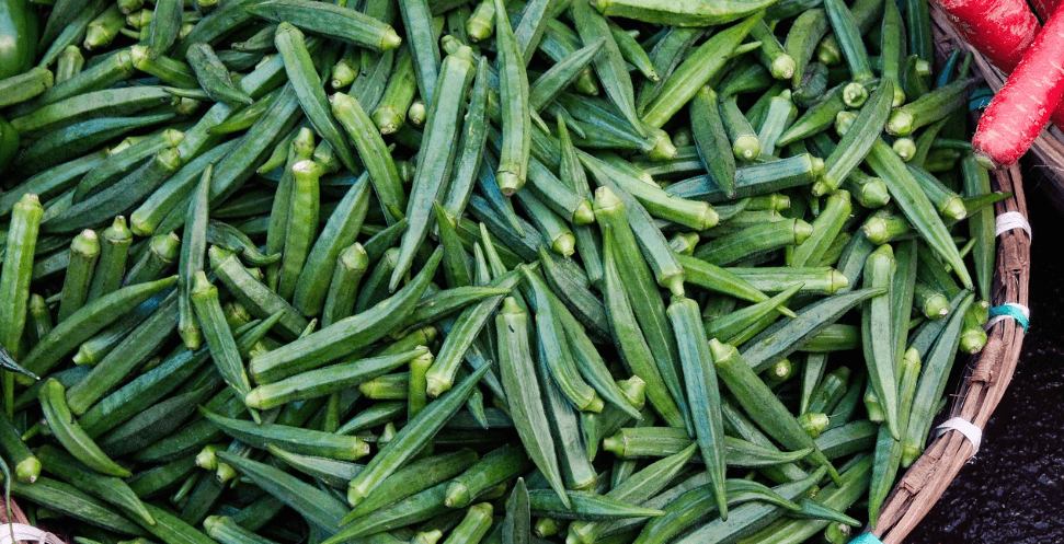 오크라 사진 - 5