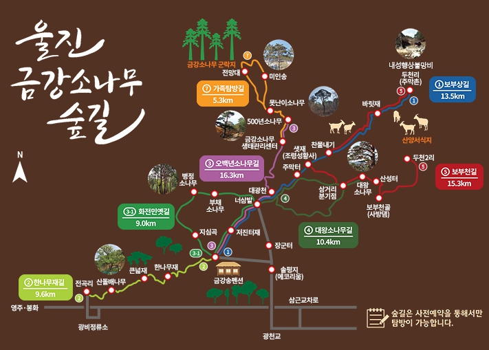 숲길