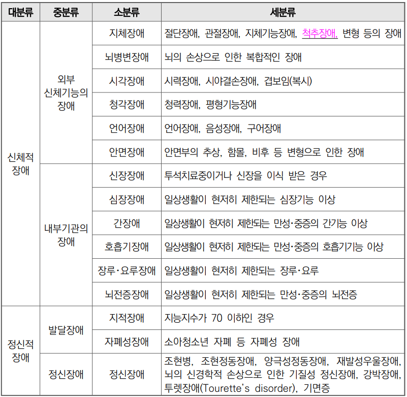 장애인의 분류에 대해 설명