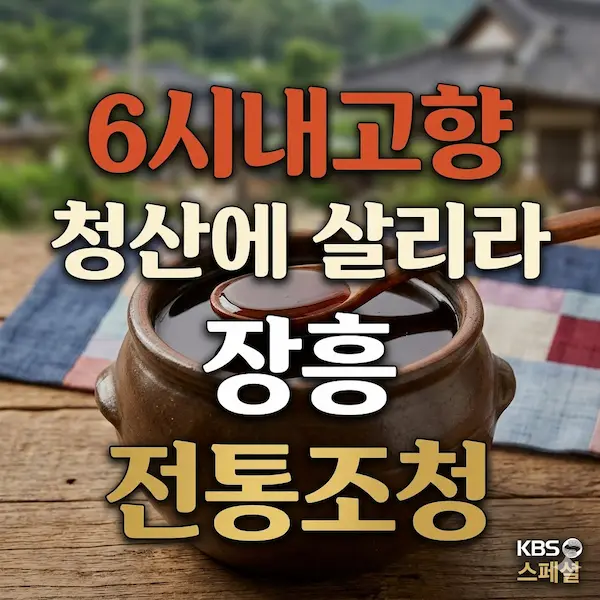 6시내고향 청산에 살리라 장흥 전통조청