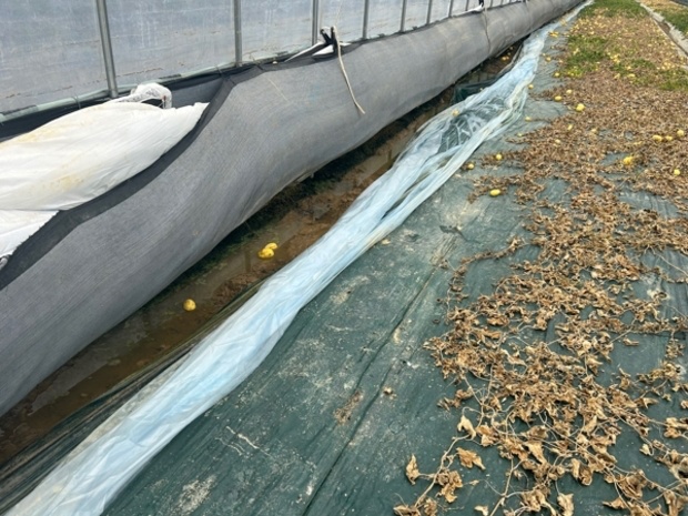 장마 기간 시작 장마 예보