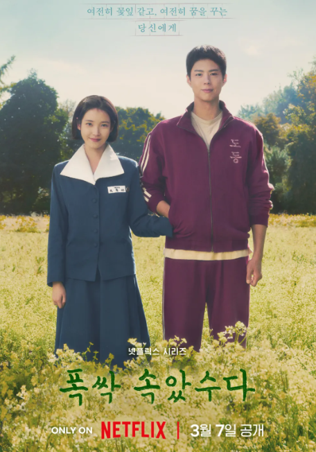 폭싹 속았수다의 등장인물 오애순역할의 아이유 와 강관식역의 박보검