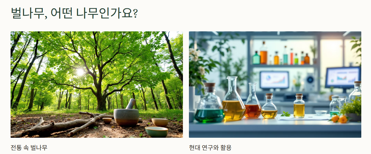 벌나무, 어떤 나무인가요?