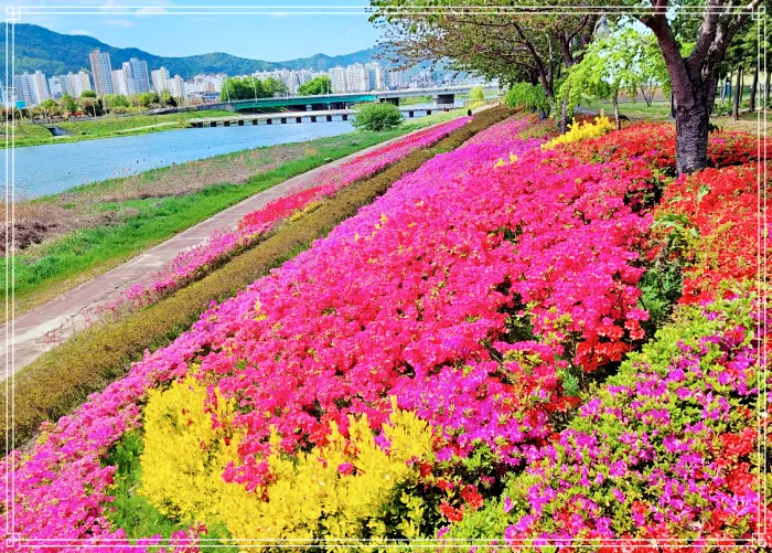 생방송 오늘아침 무더위 날리는 이색 휴가 순천 여행 즐겨라! 소개 방송