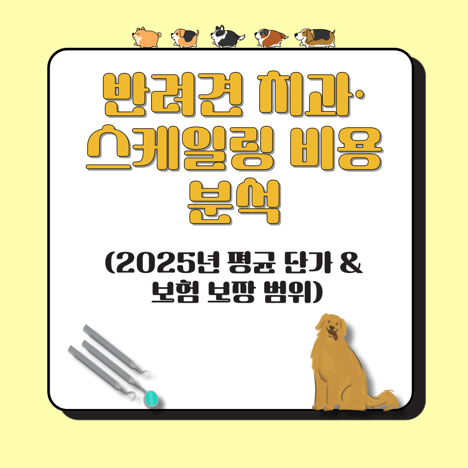 반려견 치과&middot;스케일링 비용 분석 (2025년 평균 단가 &amp; 보험 보장 범위)