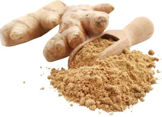 생강의 효능과 섭취방법, 부작용과 주의사항