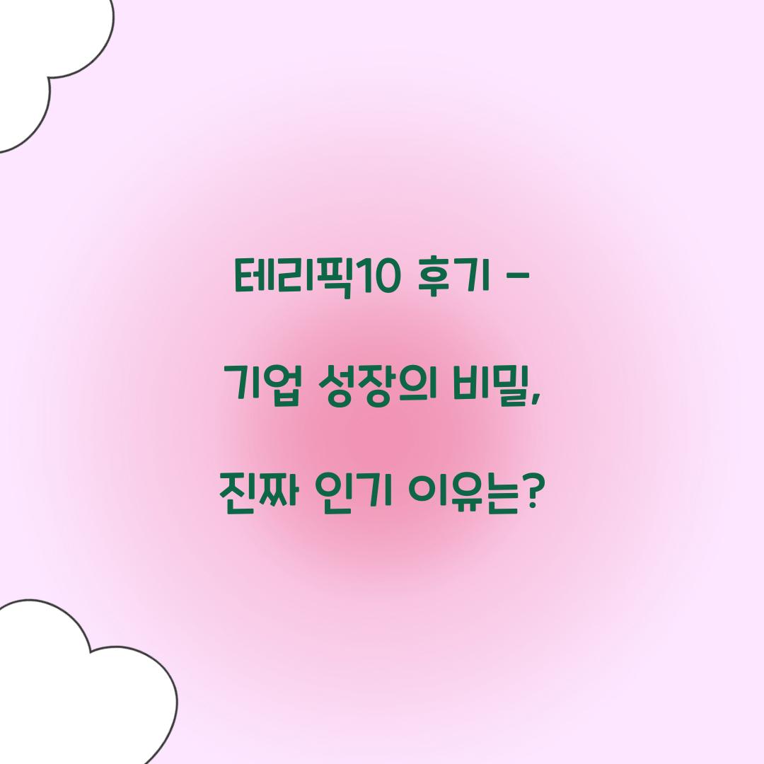 테리픽10 후기