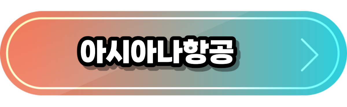 아시아나 항공