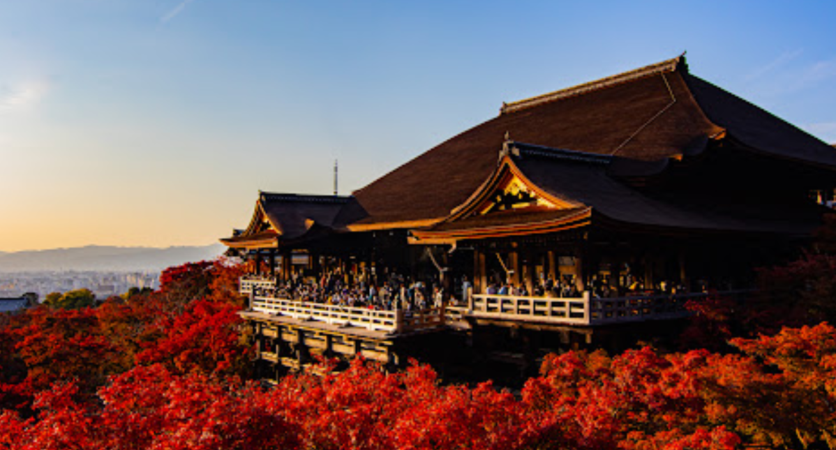 오사카 & 교토 단풍 여행장소 추천 BEST 08 일본 단풍시기 실시간 지도 2022