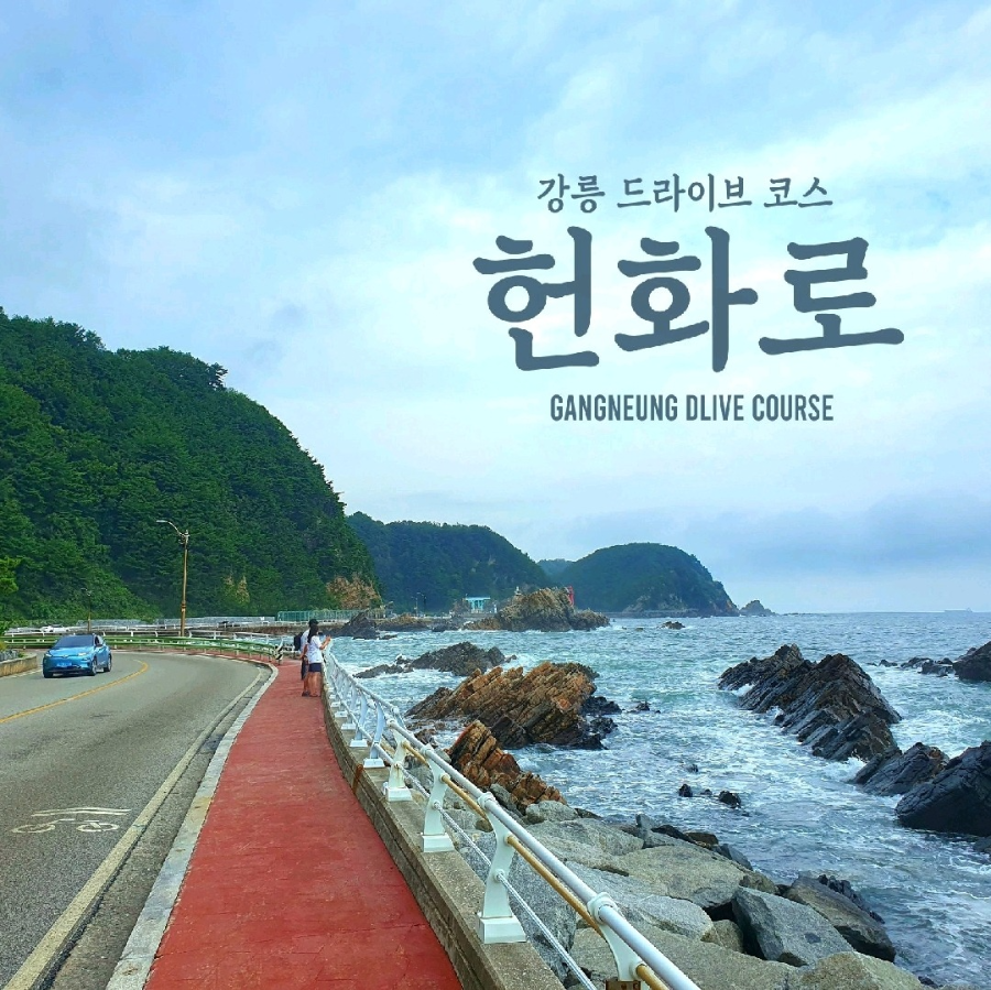 애견동반 드라이브 코스