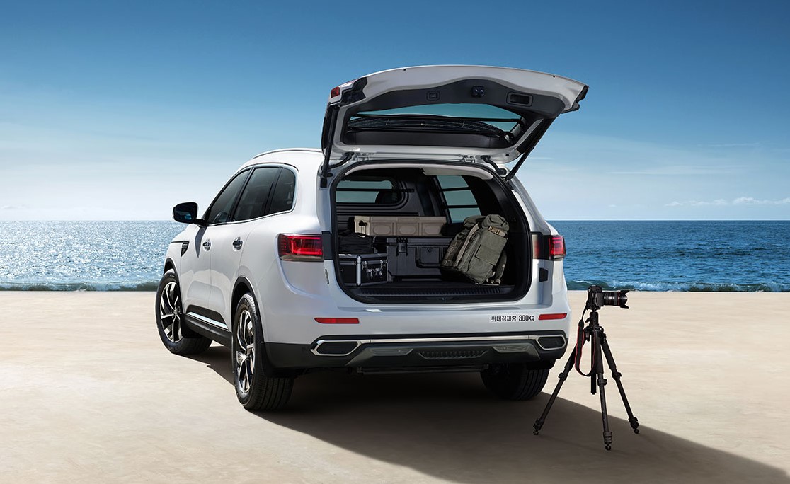 2024 QM6(1)