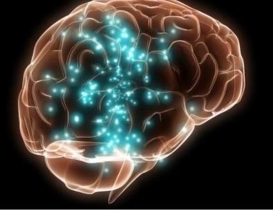 치매자가진단사이트