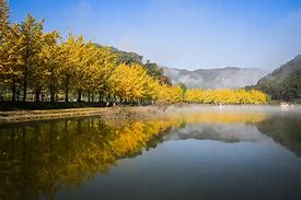 괴산문광저수지