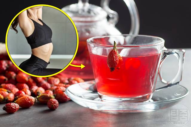 복부지방분해 차 추천 로즈힙차 폐경 후 뱃살 관리