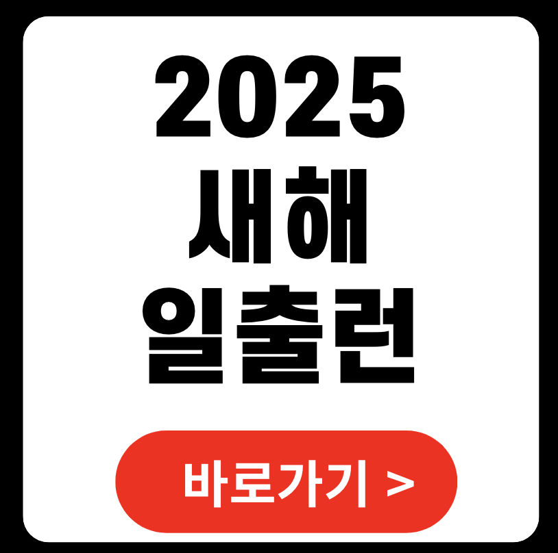 새해일출런 마라톤 일정 장소 (+ 2025 마라톤 일정)