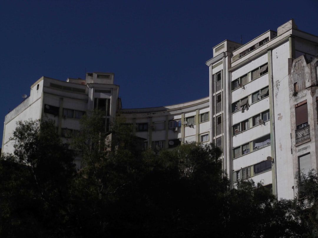 Animal Hospital