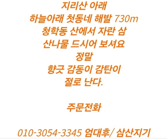 사노라면-청학동-산삼마루