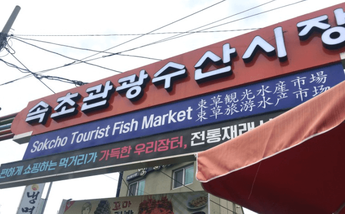 속초관광수산시장