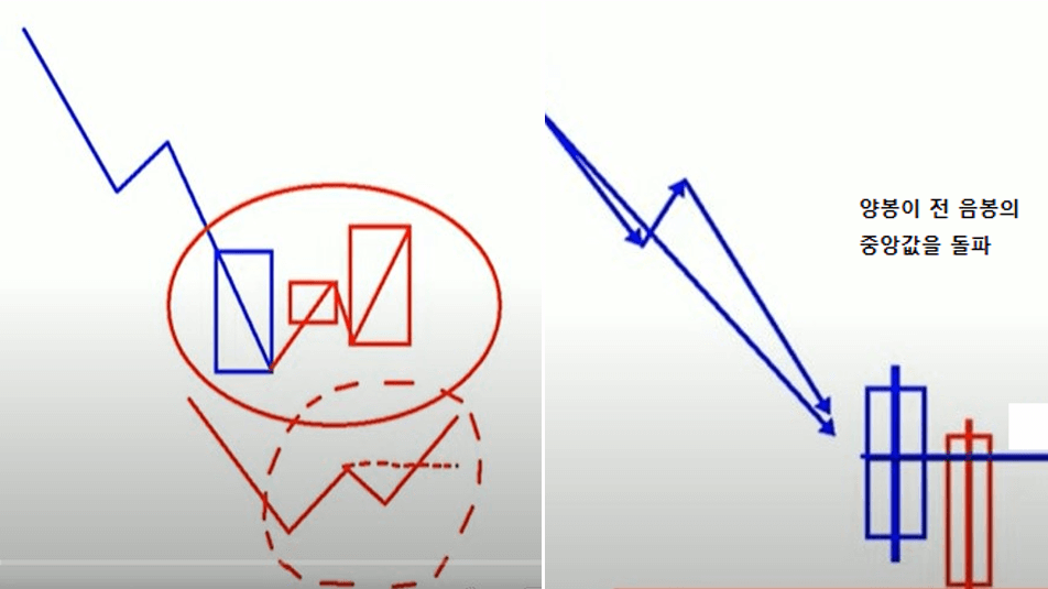 강세포아형과 관통형 이미지