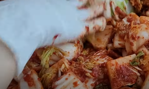 김치 양념 버무리기