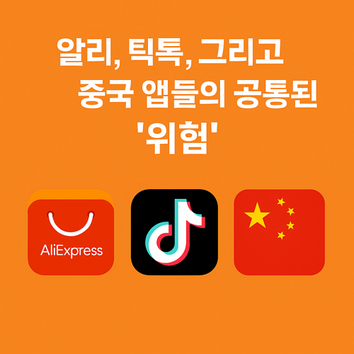 알리, 틱톡, 그리고 중국 앱들의 공통된 ‘위험’