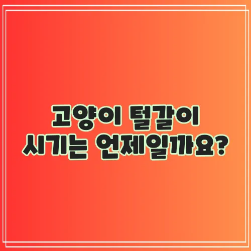 고양이 털갈이 시기는 언제일까요?