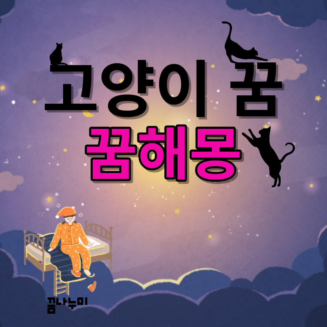 고양이 꿈 해몽