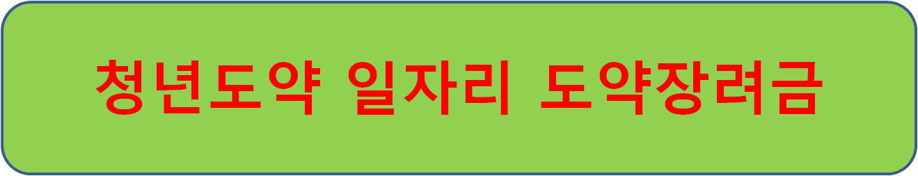 청년일자리도약지원금