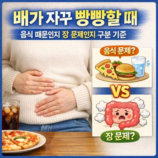 복부팽만과 장가스를 두고 음식 때문인지 장 문제인지 차분히 구분하려는 일상 장면
