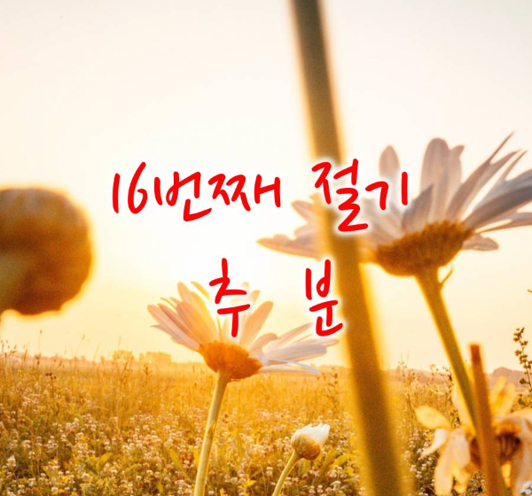 16번째 절기 추분