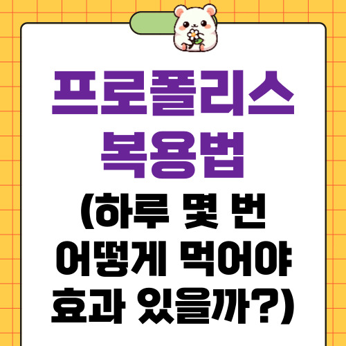 프로폴리스 복용법