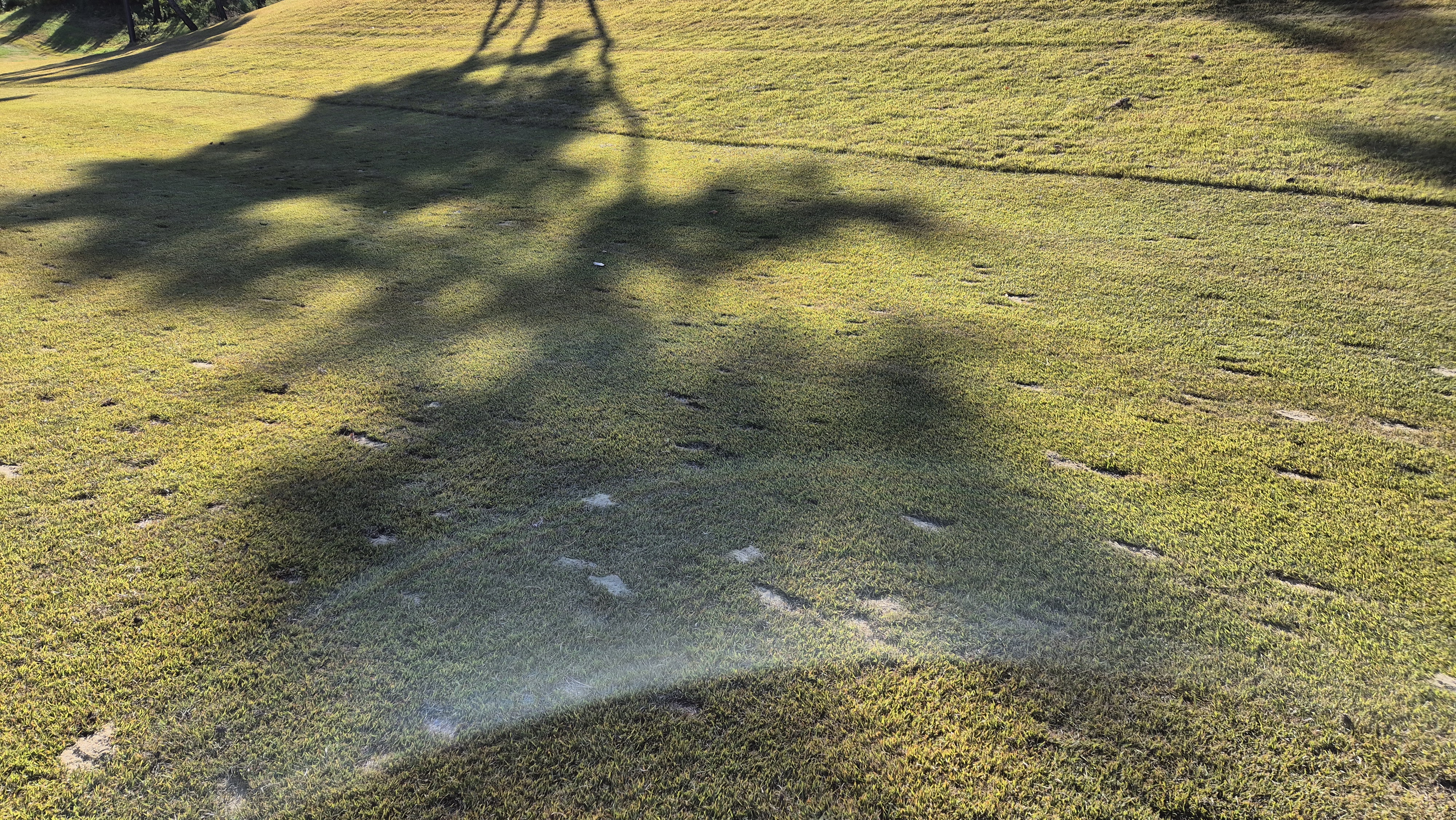 레이캐슬cc 코스 관리 상태