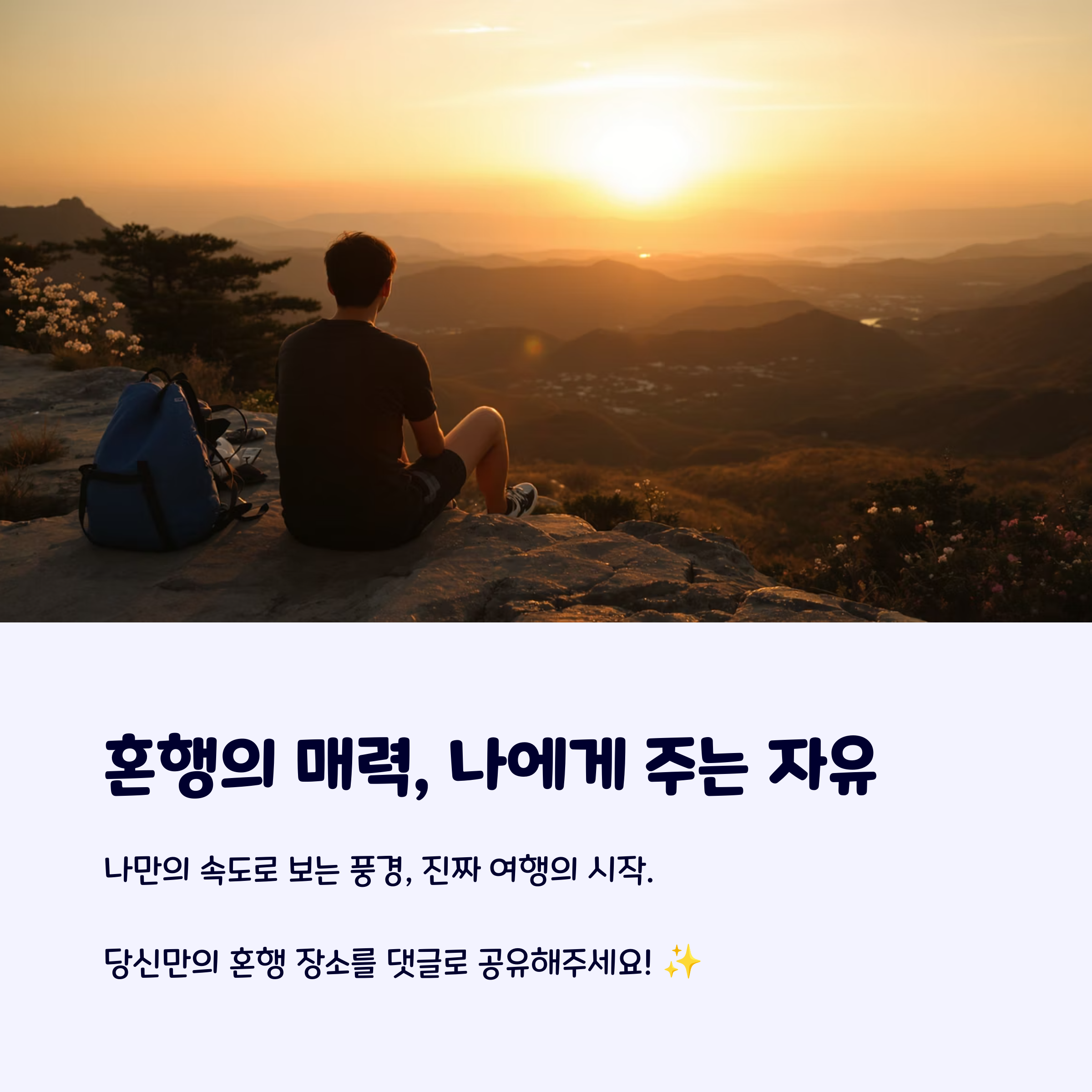 국내혼행